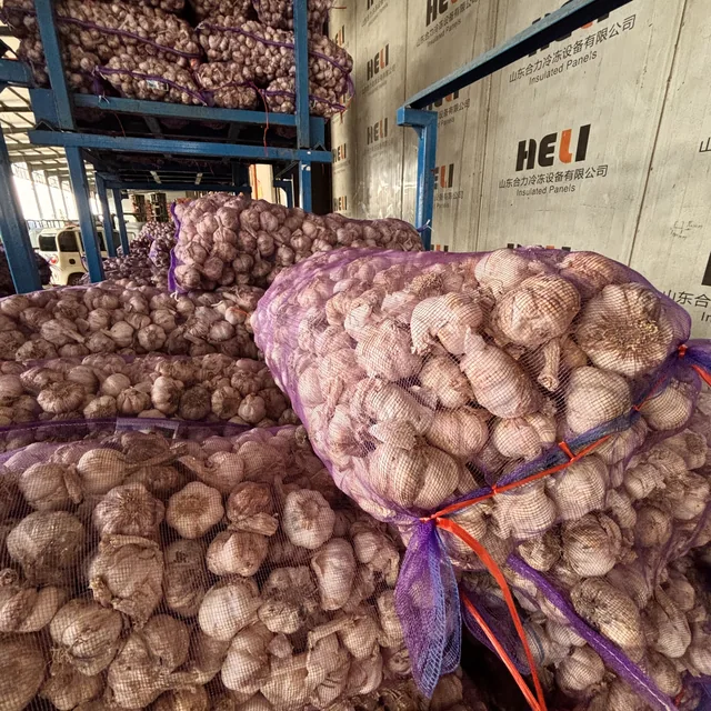 Bagged garlic stacked beside blue storage racks
